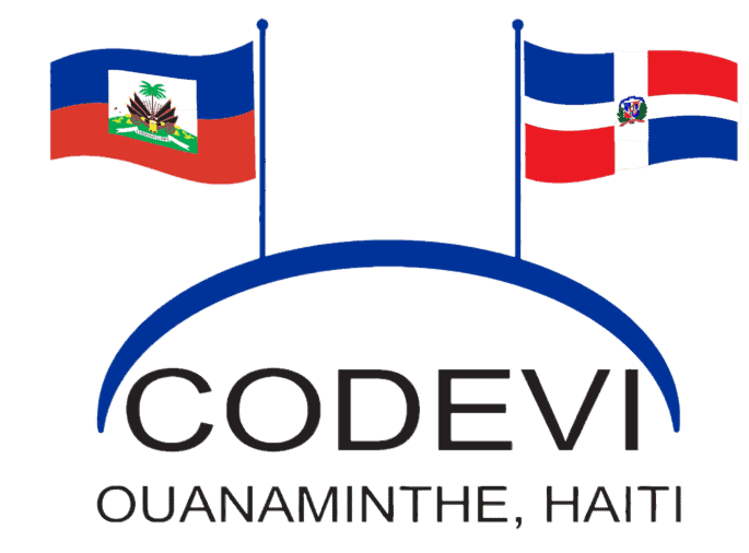 CODEVI Logo