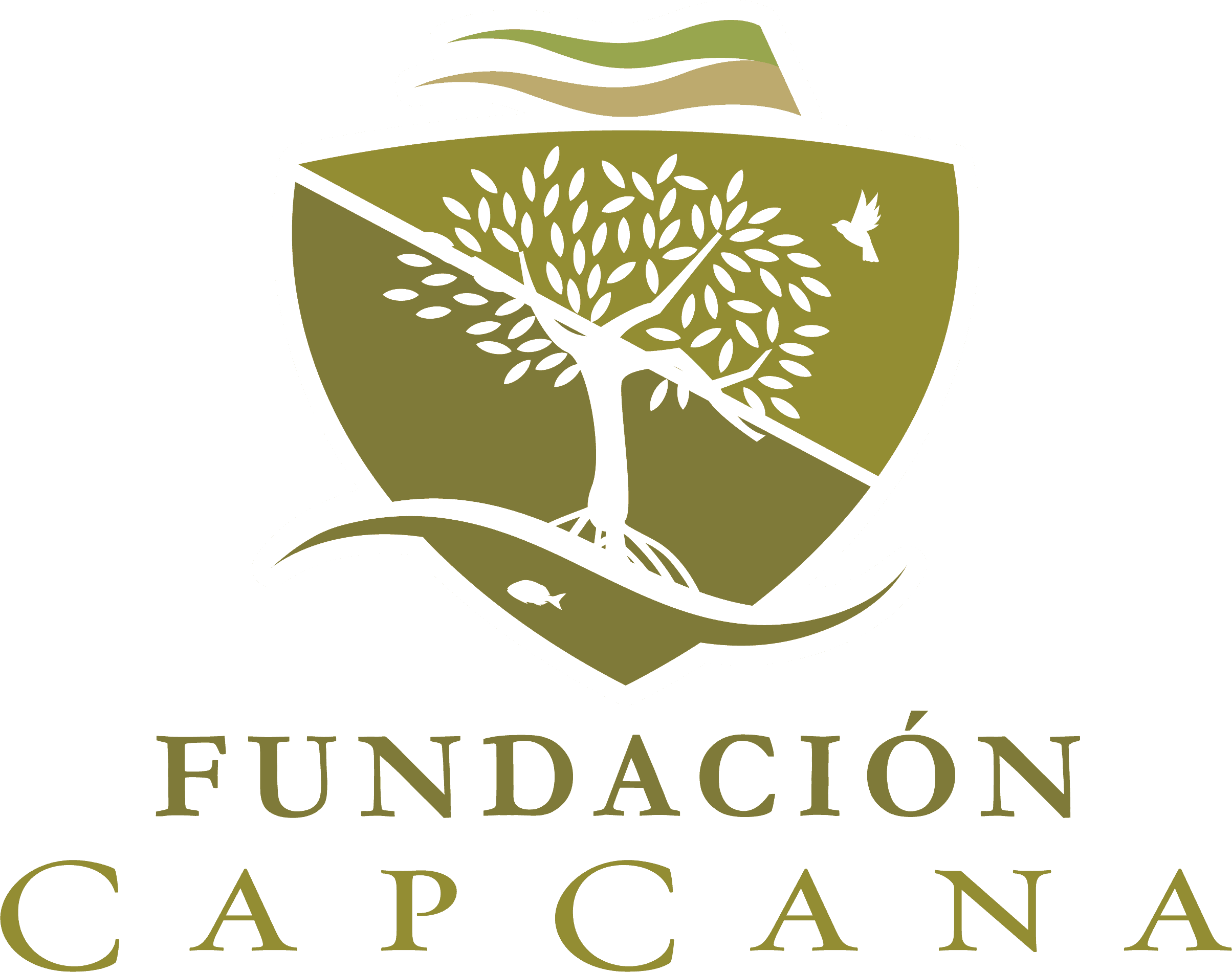 Fundación Cap Cana