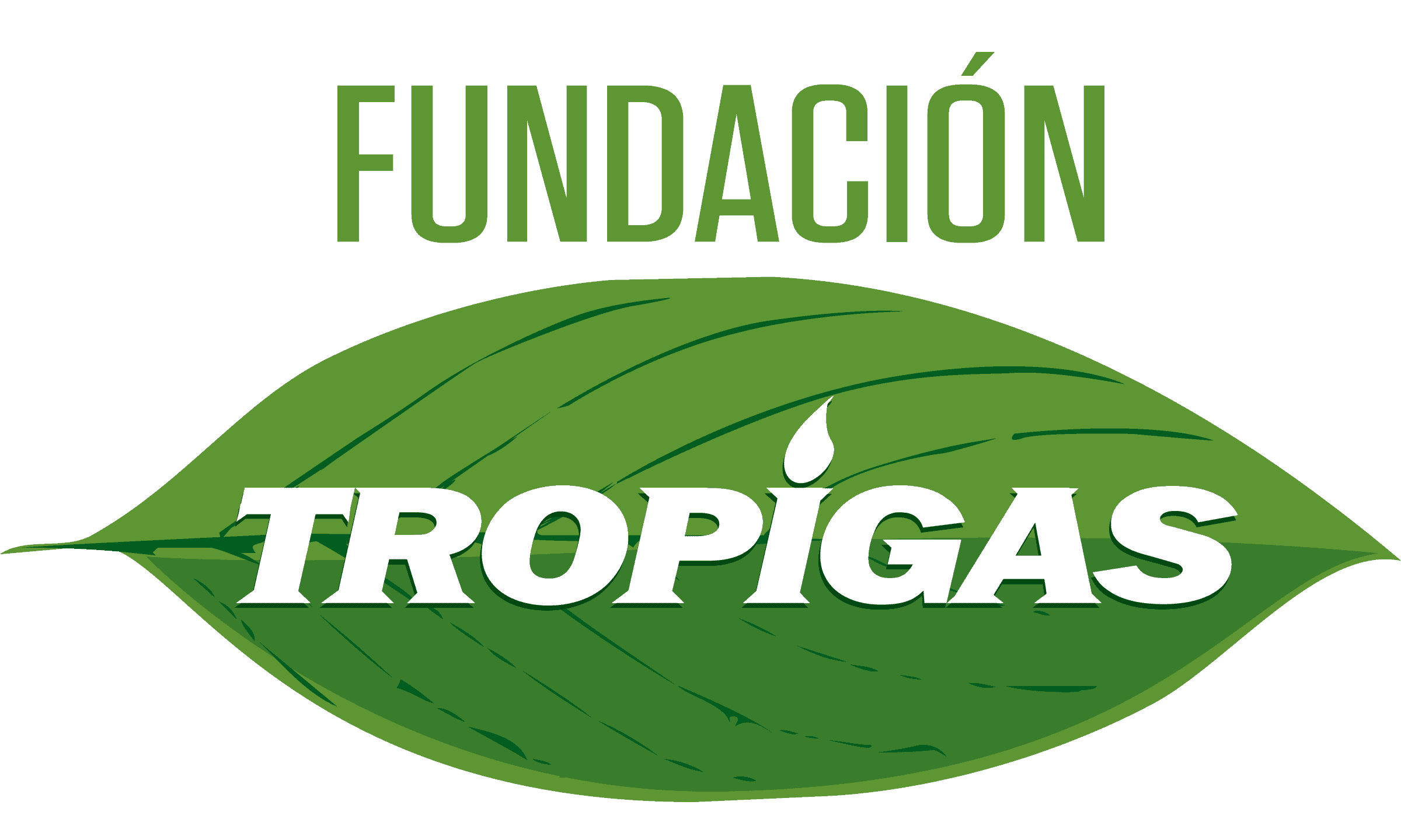 Fundación Tropigas