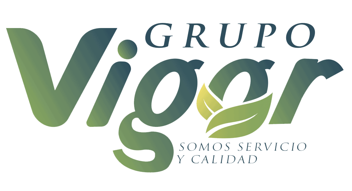 Grupo Vigor Logo